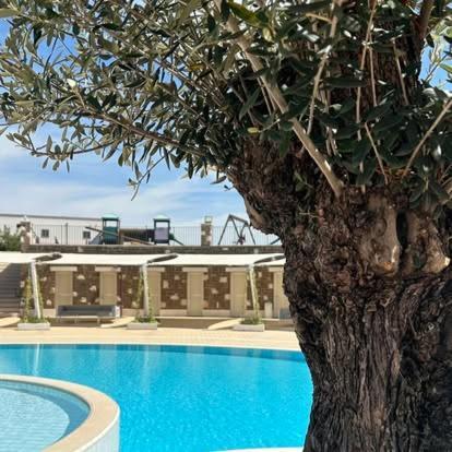 Tenuta Amalthea Villa Sessa Aurunca Exterior foto